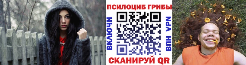 Купить  Похвистнево  Галлюциногенные грибы мицелий 